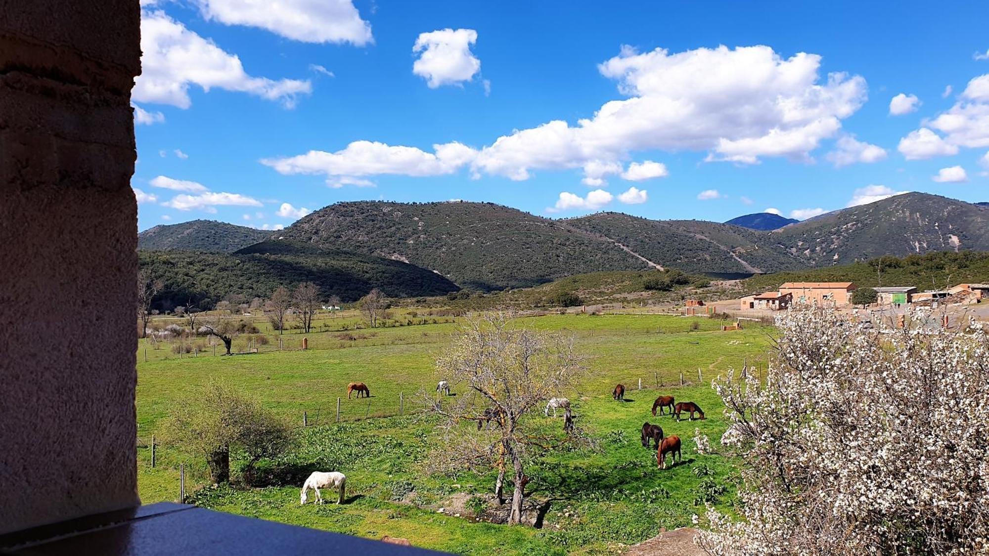 Casa Con Piscina En Parque Nacional De Cabaneros Navas de Estena Eksteriør billede