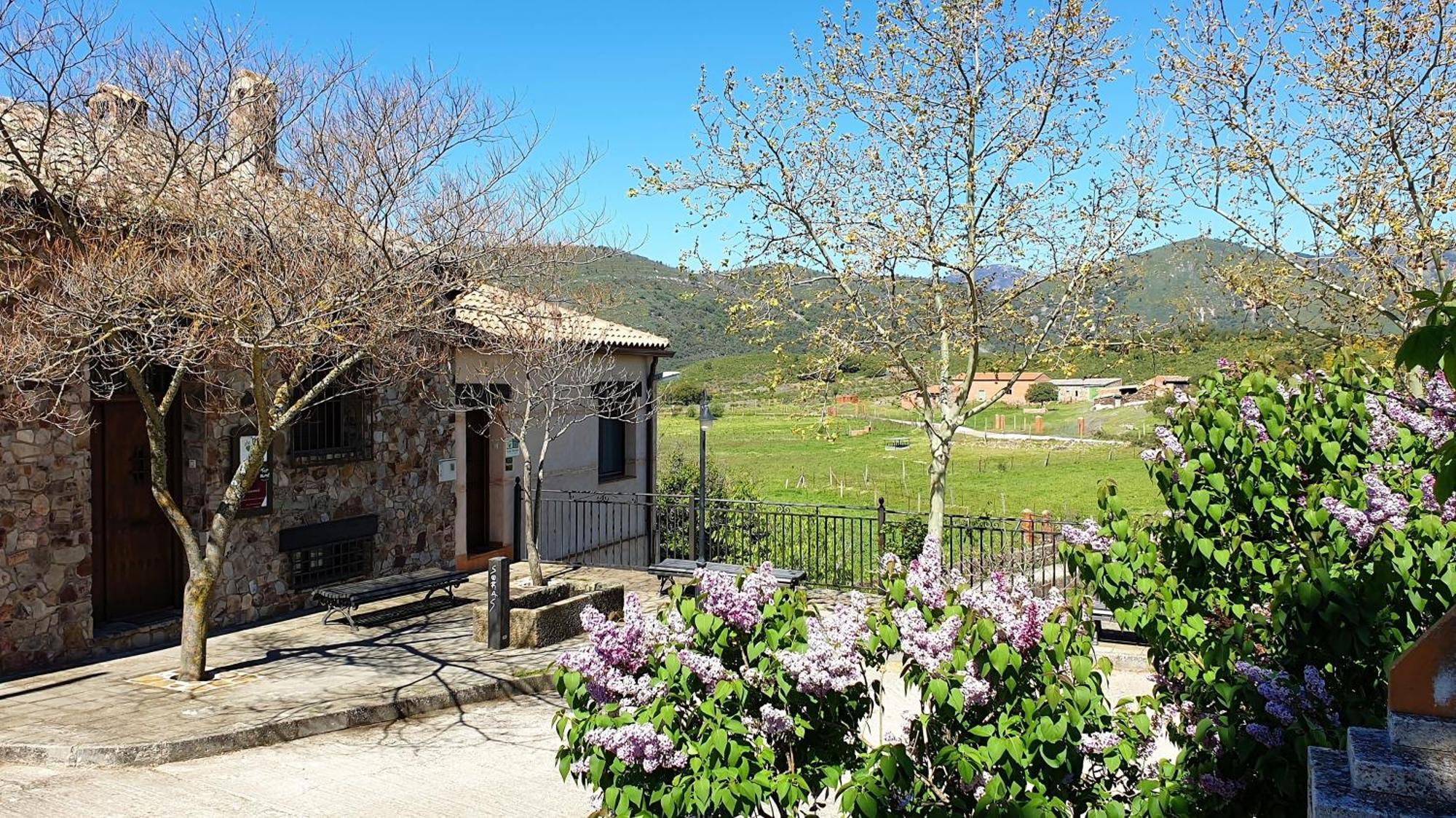 Casa Con Piscina En Parque Nacional De Cabaneros Navas de Estena Eksteriør billede